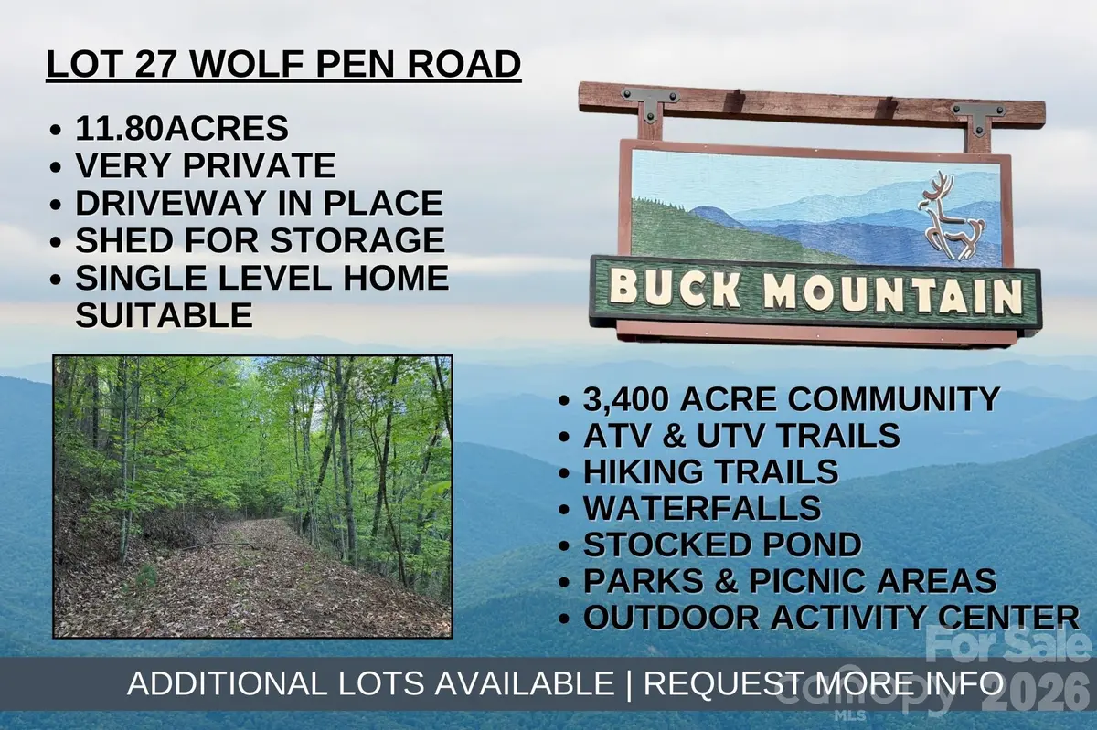 TBD Wolf Pen RD #27, Purlear, NC 28665