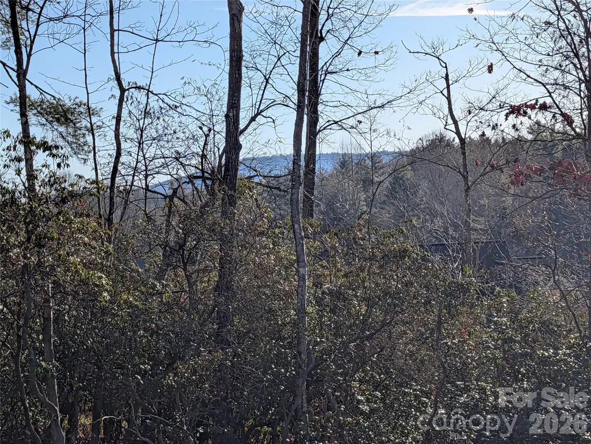 00 Winterberry DR #54, Hendersonville, NC 28739