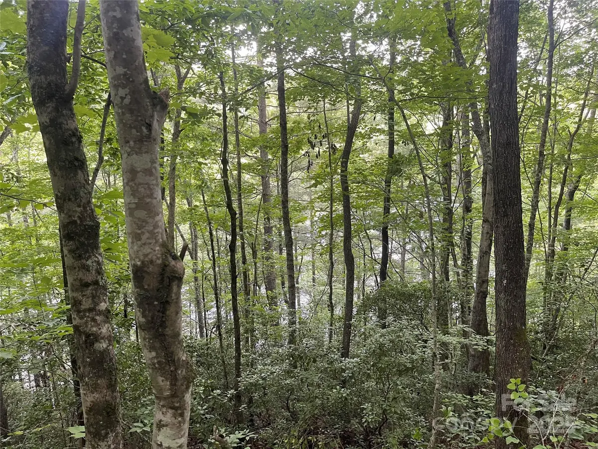 2642 Canada RD, Tuckasegee, NC 28783
