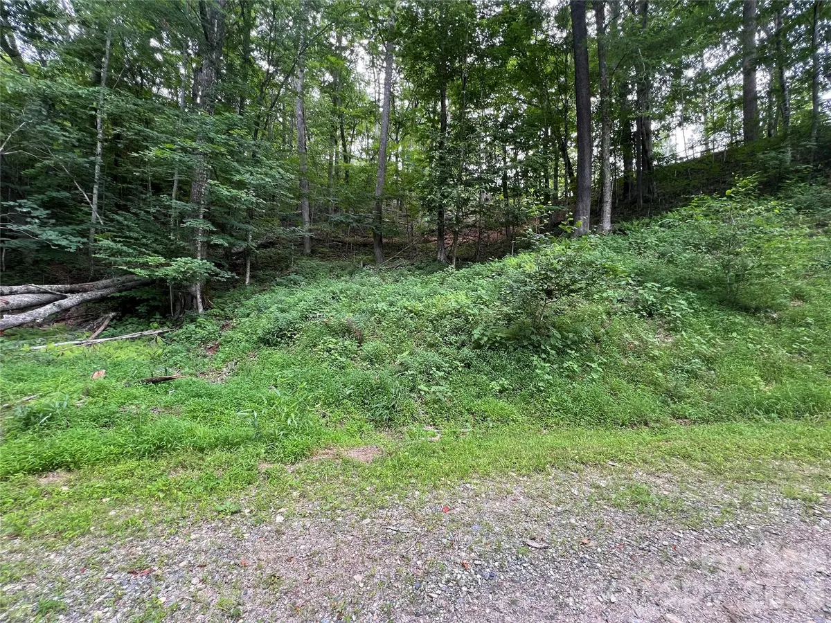 0 CHESTNUT LN #Lot 84, Mars Hill, NC 28754