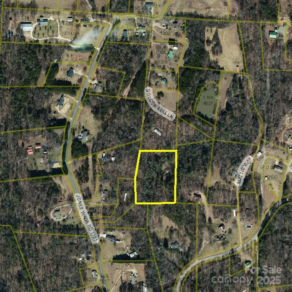 2899 Golden Bell LN, Hudson, NC 28638