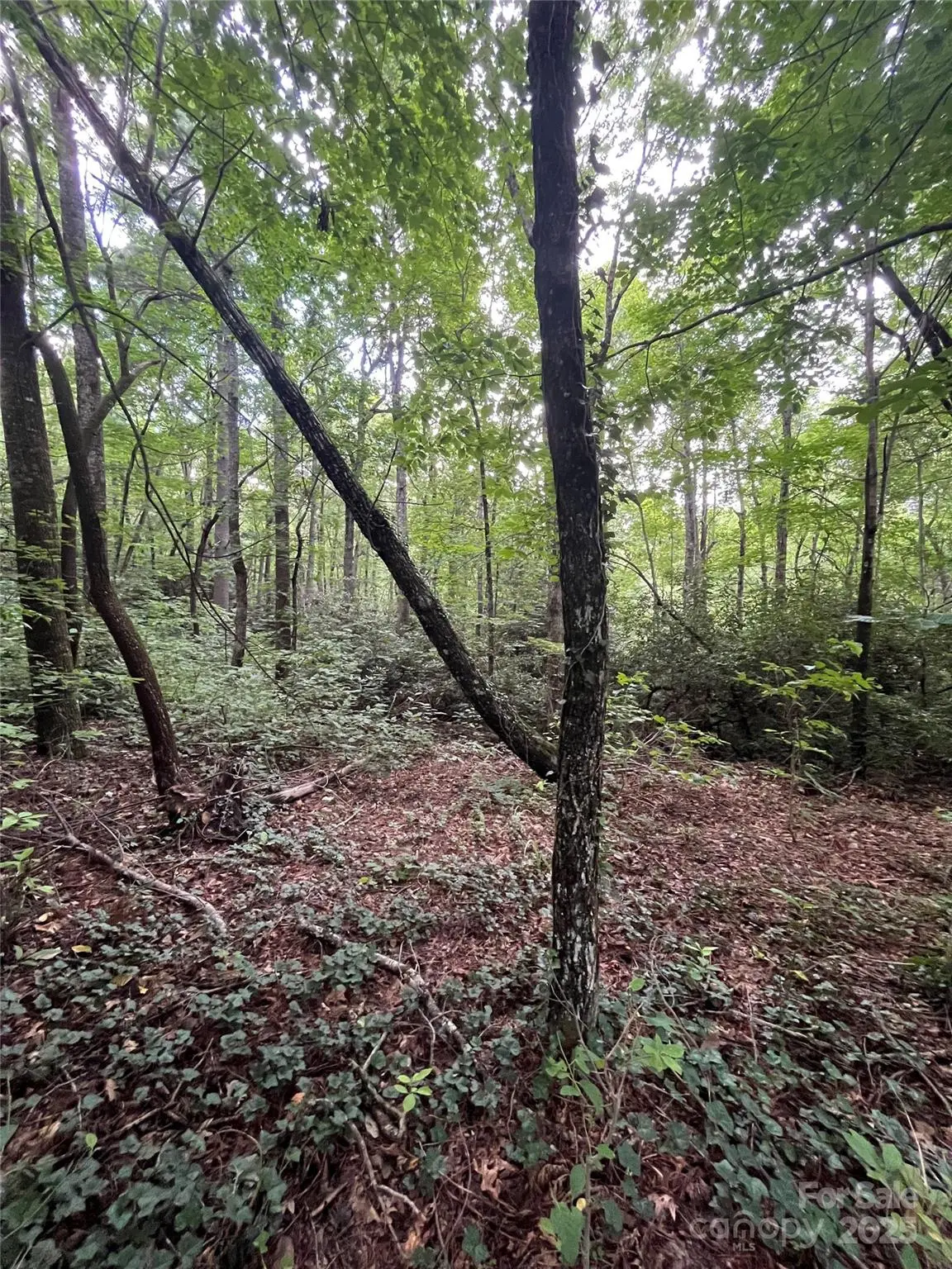 000 GREENLEAF DR, Flat Rock, NC 28731
