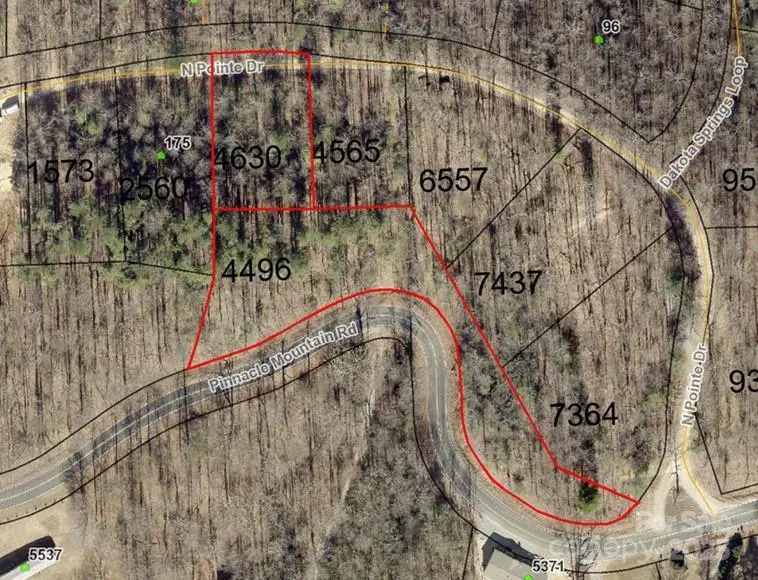 99999 N Pointe DR #5 and #30, Zirconia, NC 28790