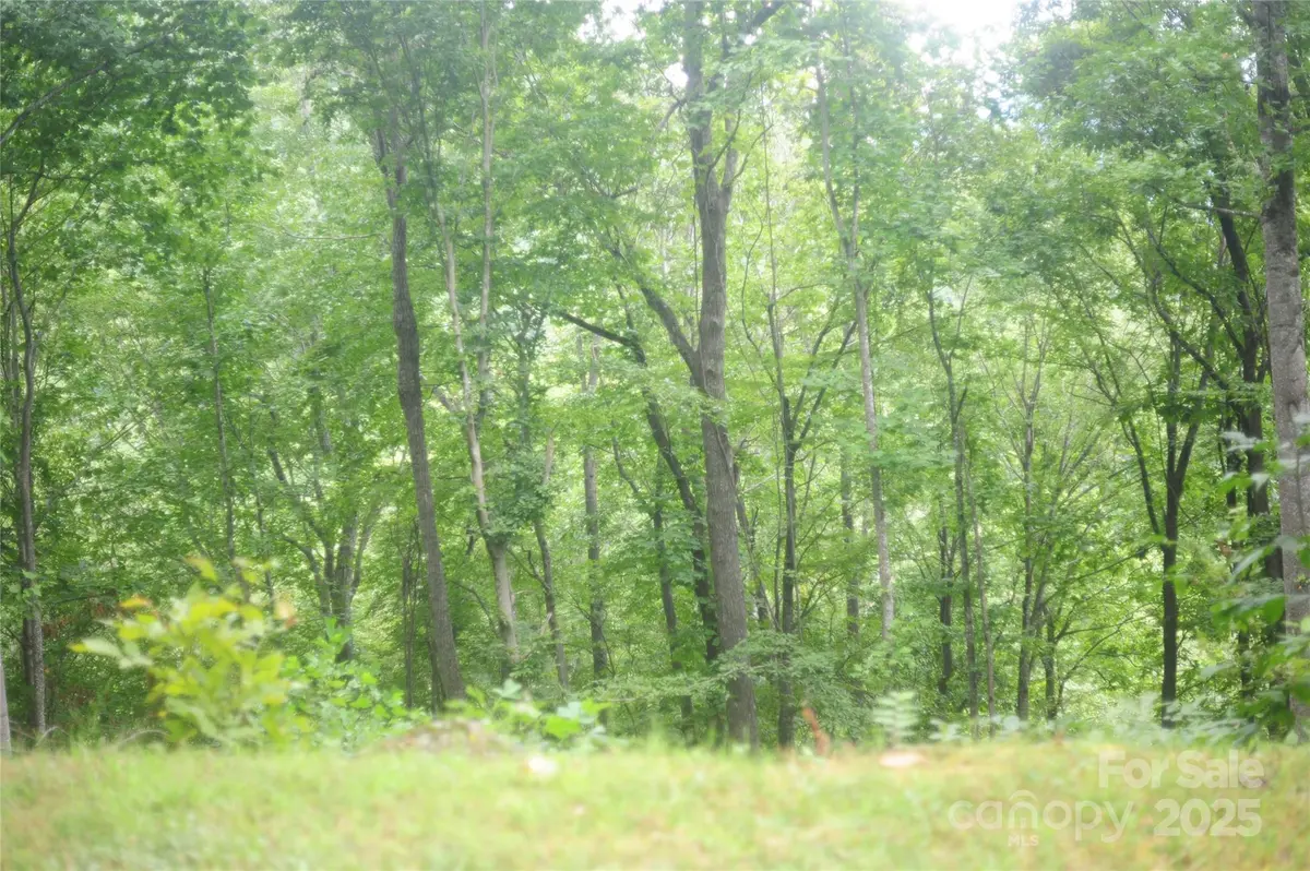 9 Wood Haven LN #108, Black Mountain, NC 28711