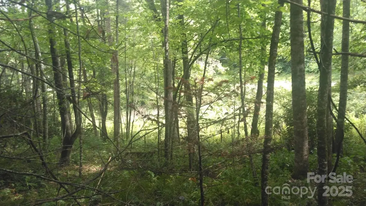 7360 NC 183 HWY, Newland, NC 28657