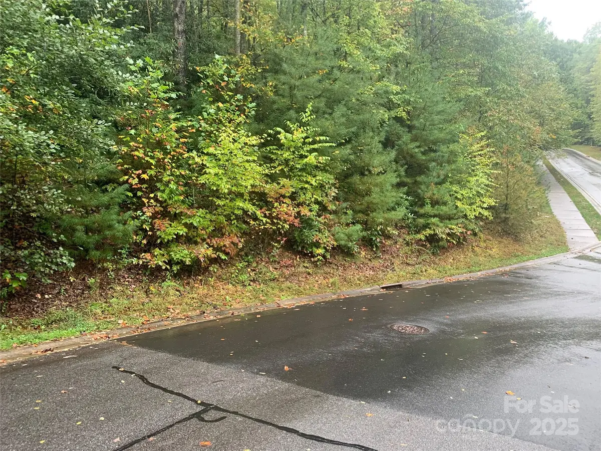 208 Settings BLVD #248, Black Mountain, NC 28711