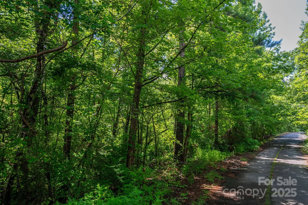 Lot 31 Line DR, Forest City, NC 28043