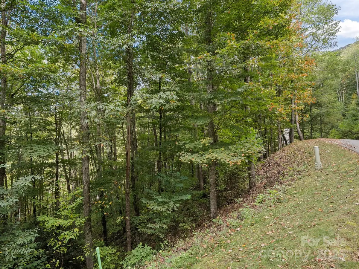 0 Macallan DR #16, Waynesville, NC 28786