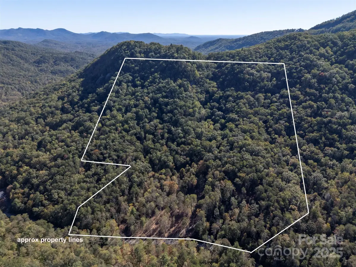 3298 Buffalo Creek RD, Lake Lure, NC 28746