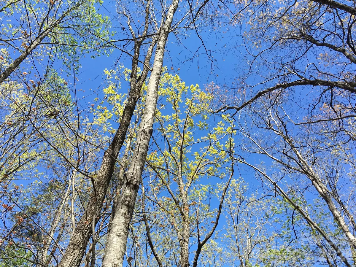 00 Lytle Mountain RD, Marion, NC 28752