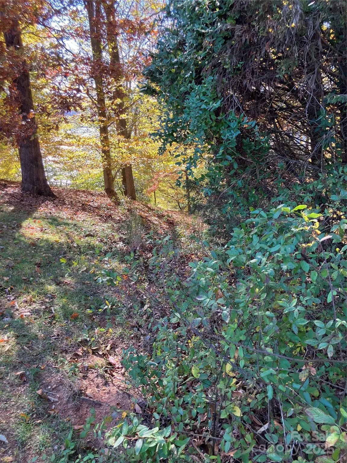 0000 Upper Lake PL, Statesville, NC 28677
