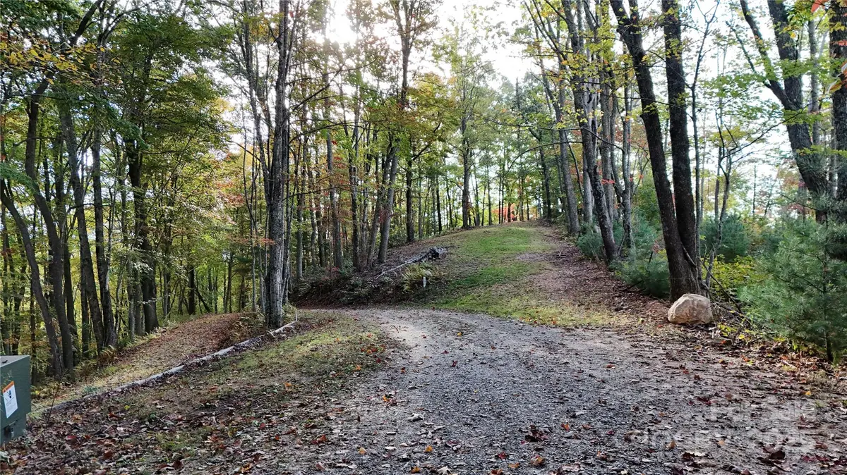2 Roberts Mountain RD #2, Clyde, NC 28721