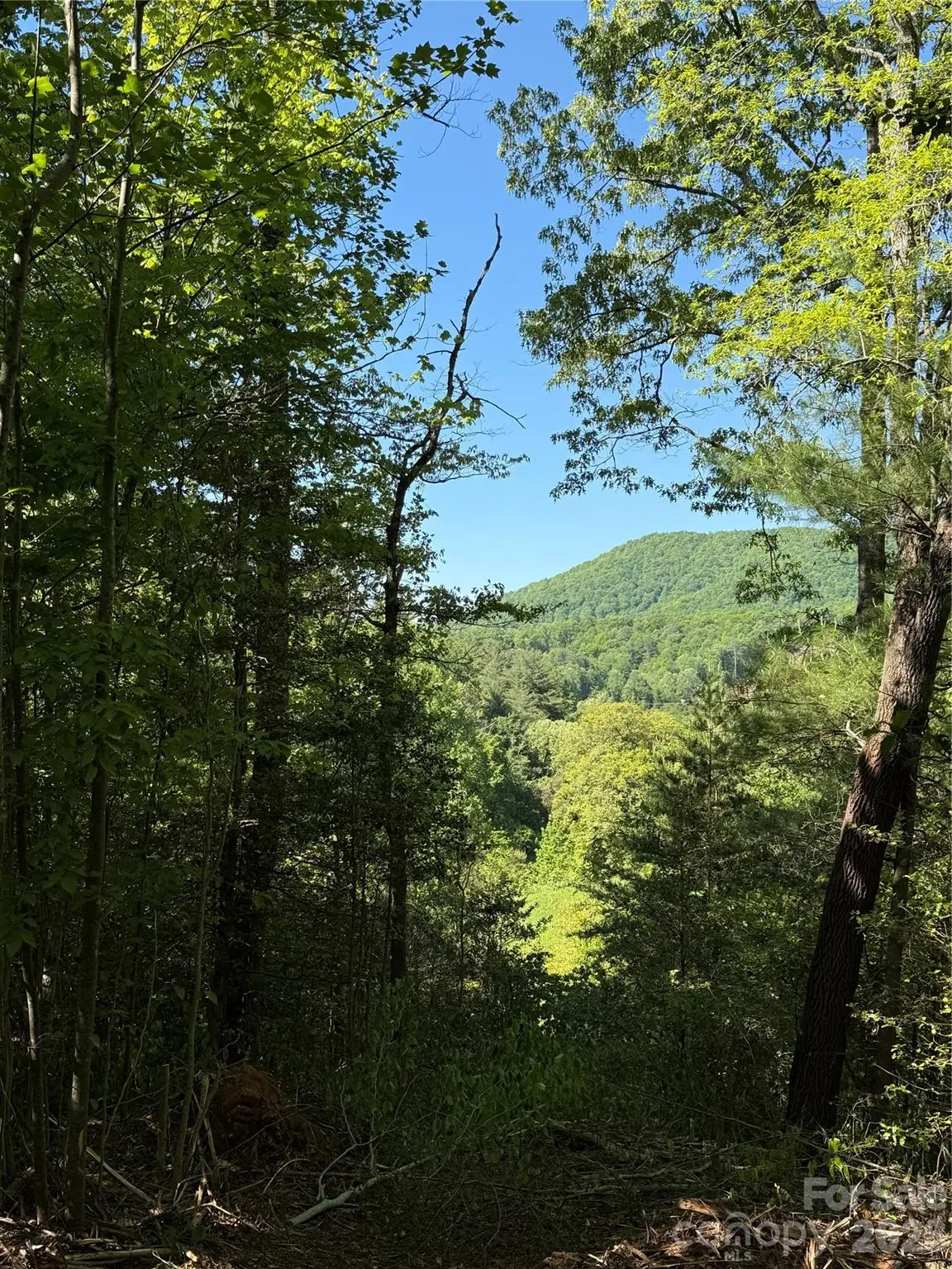 Lot # 3 West Legacy DR #3, Hendersonville, NC 28739