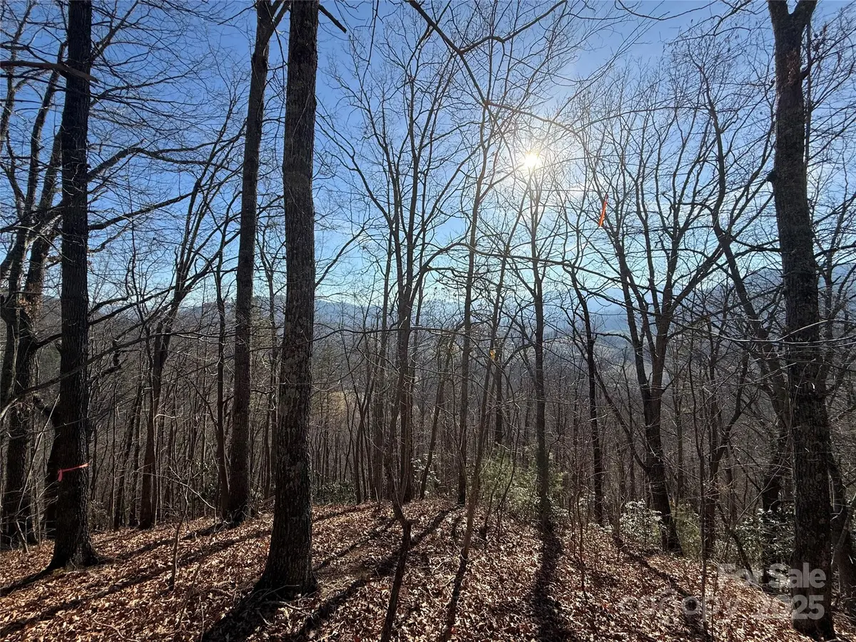 12,13,27 Brer Rabbit TRL #12,13,27, Waynesville, NC 28785