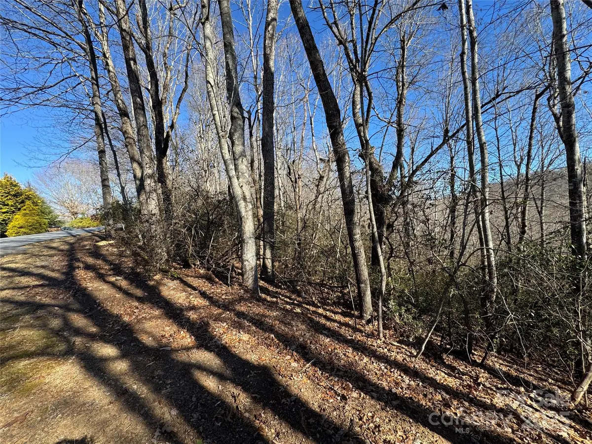 Lot 19 Udoque CT, Brevard, NC 28712