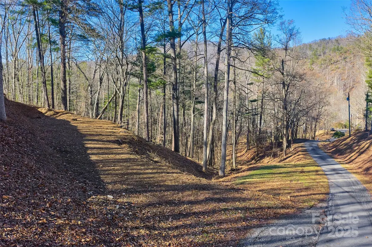 15 Beech Tree LN, Asheville, NC 28804