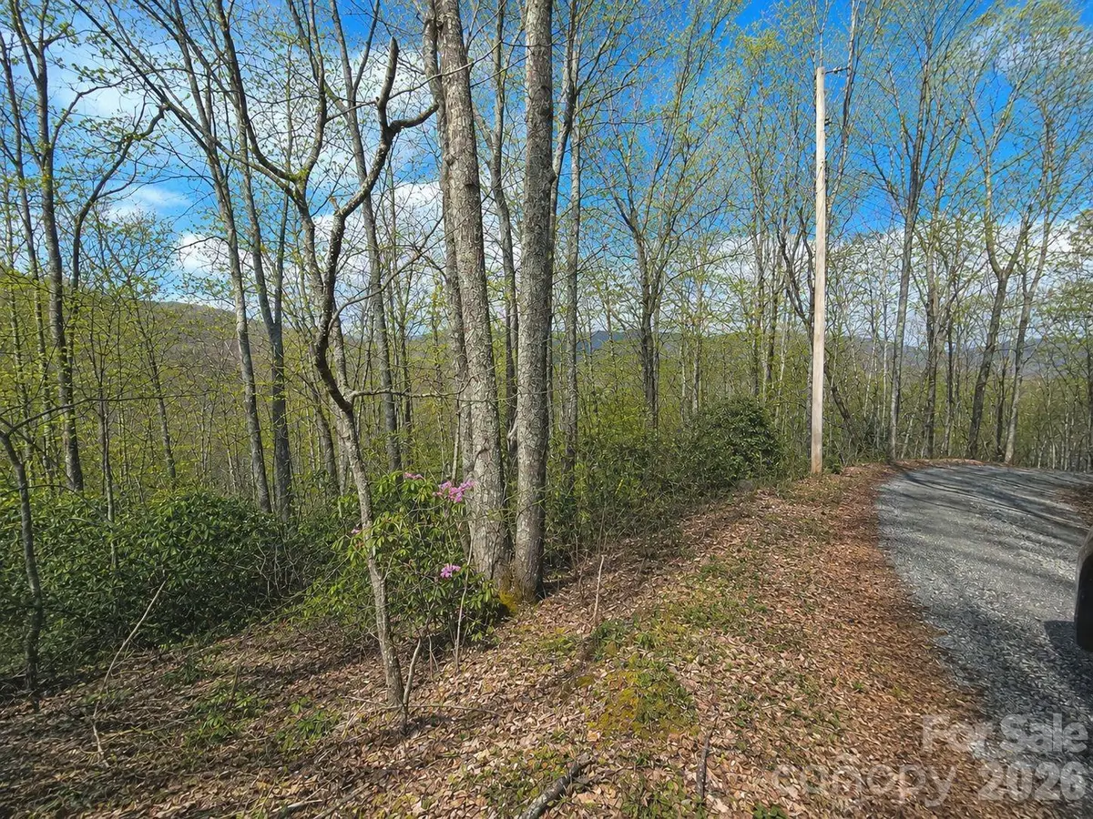 10 Tall Oaks DR #58A & 58B, Maggie Valley, NC 28751