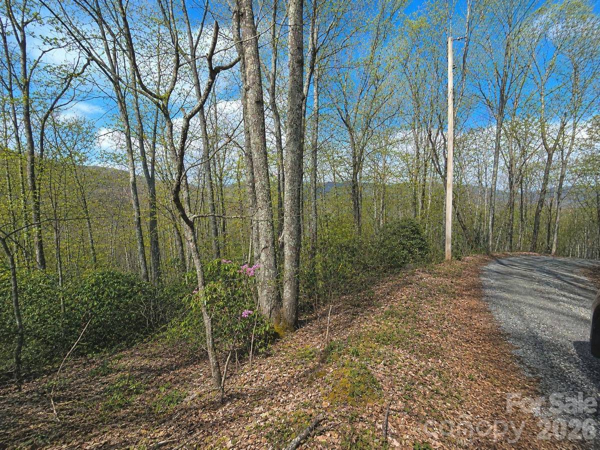 10 Tall Oaks DR #58A & 58B, Maggie Valley, NC 28751