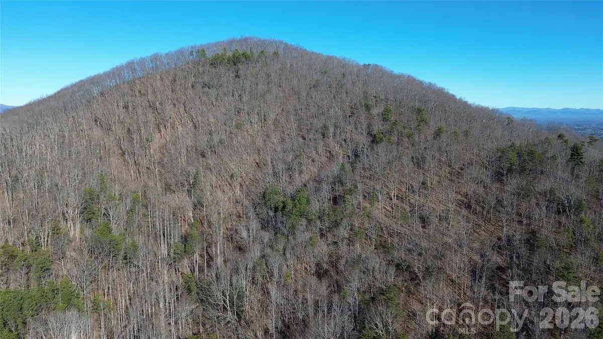 9999 Sealey LN, Leicester, NC 28748