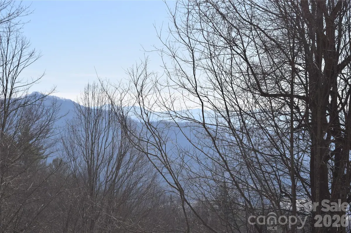417& 418 Multiflora WAY #417&418, Waynesville, NC 28785