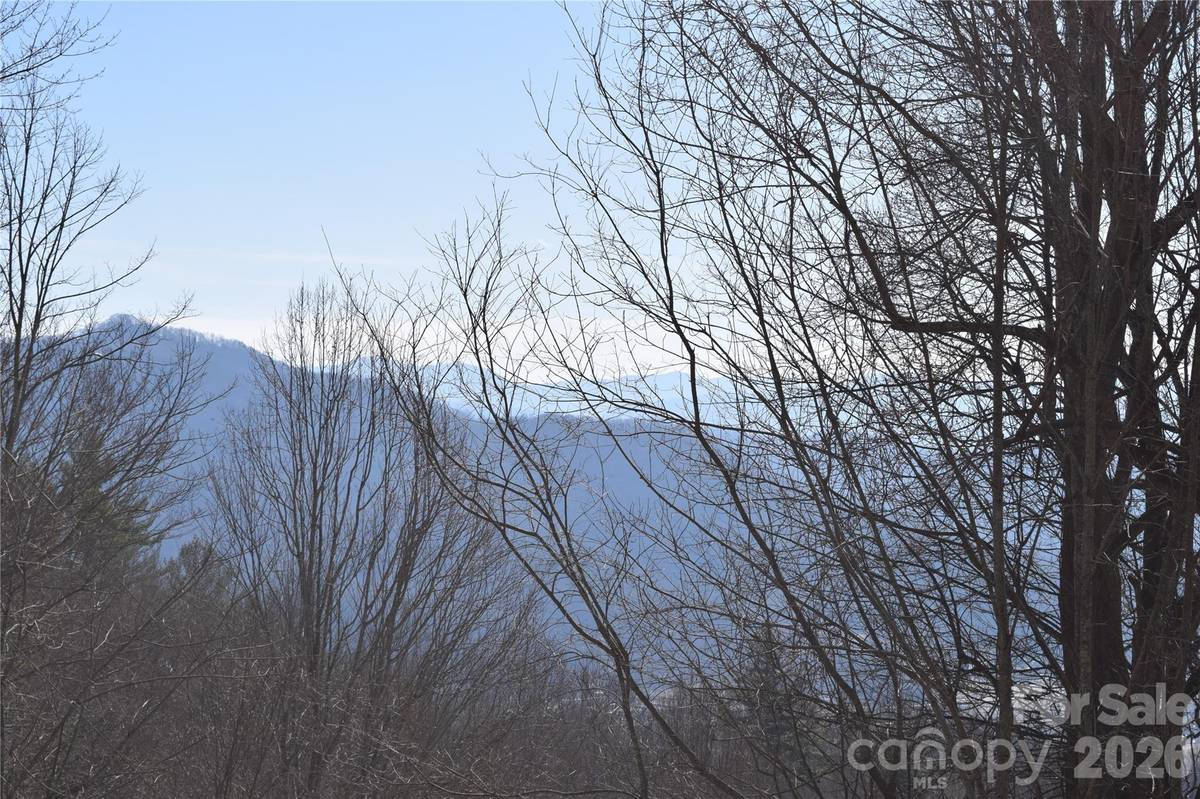 417& 418 Multiflora WAY #417&418, Waynesville, NC 28785