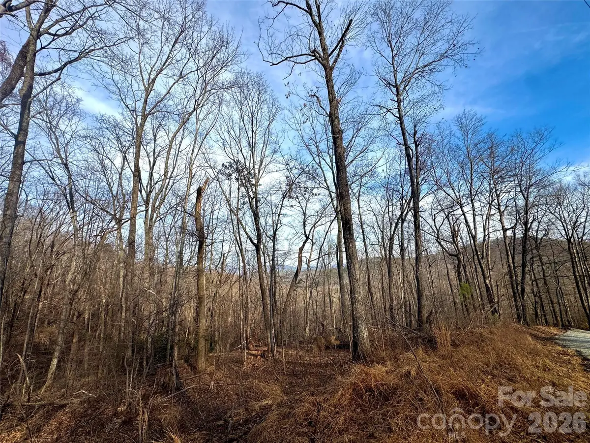 0 Peartree DR, Lake Lure, NC 28746