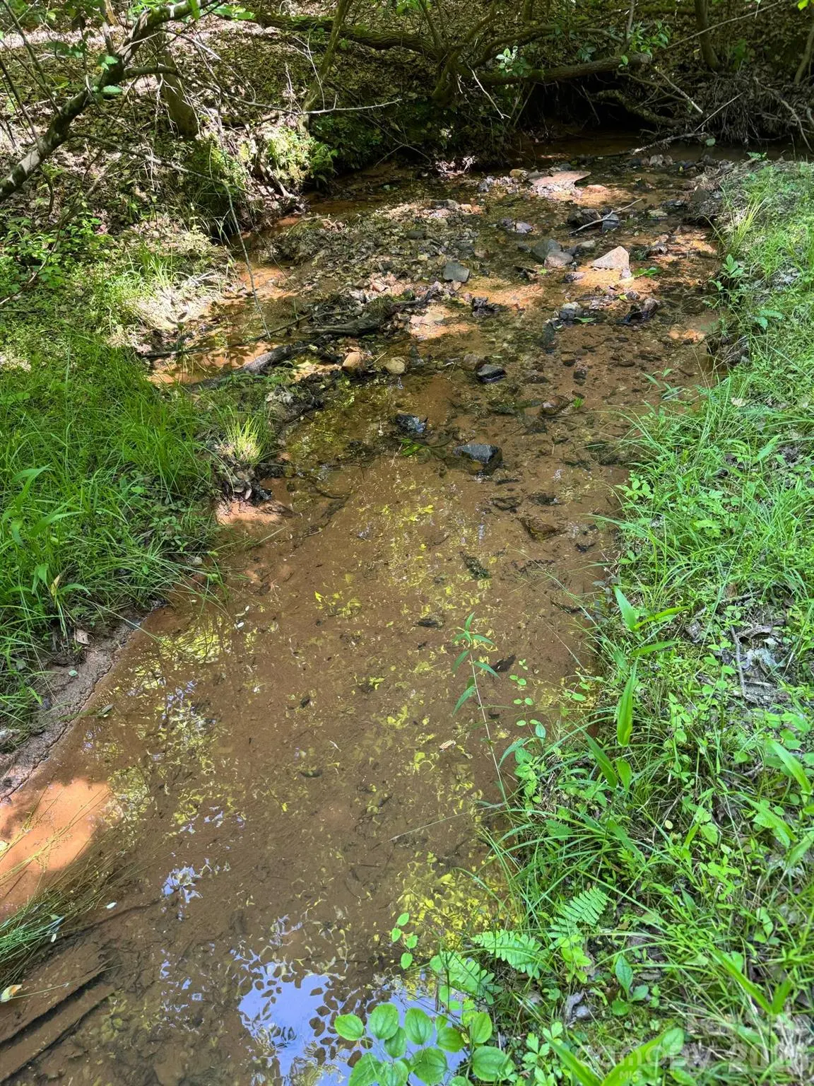 Lot 54 Billings Hill Church RD, Traphill, NC 28683