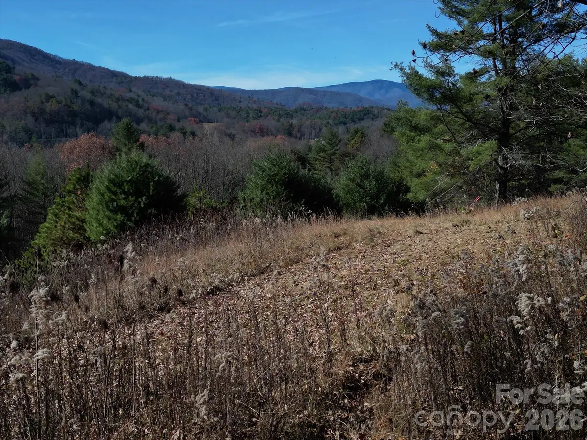 00 Dream Valley DR #22, Clyde, NC 28721