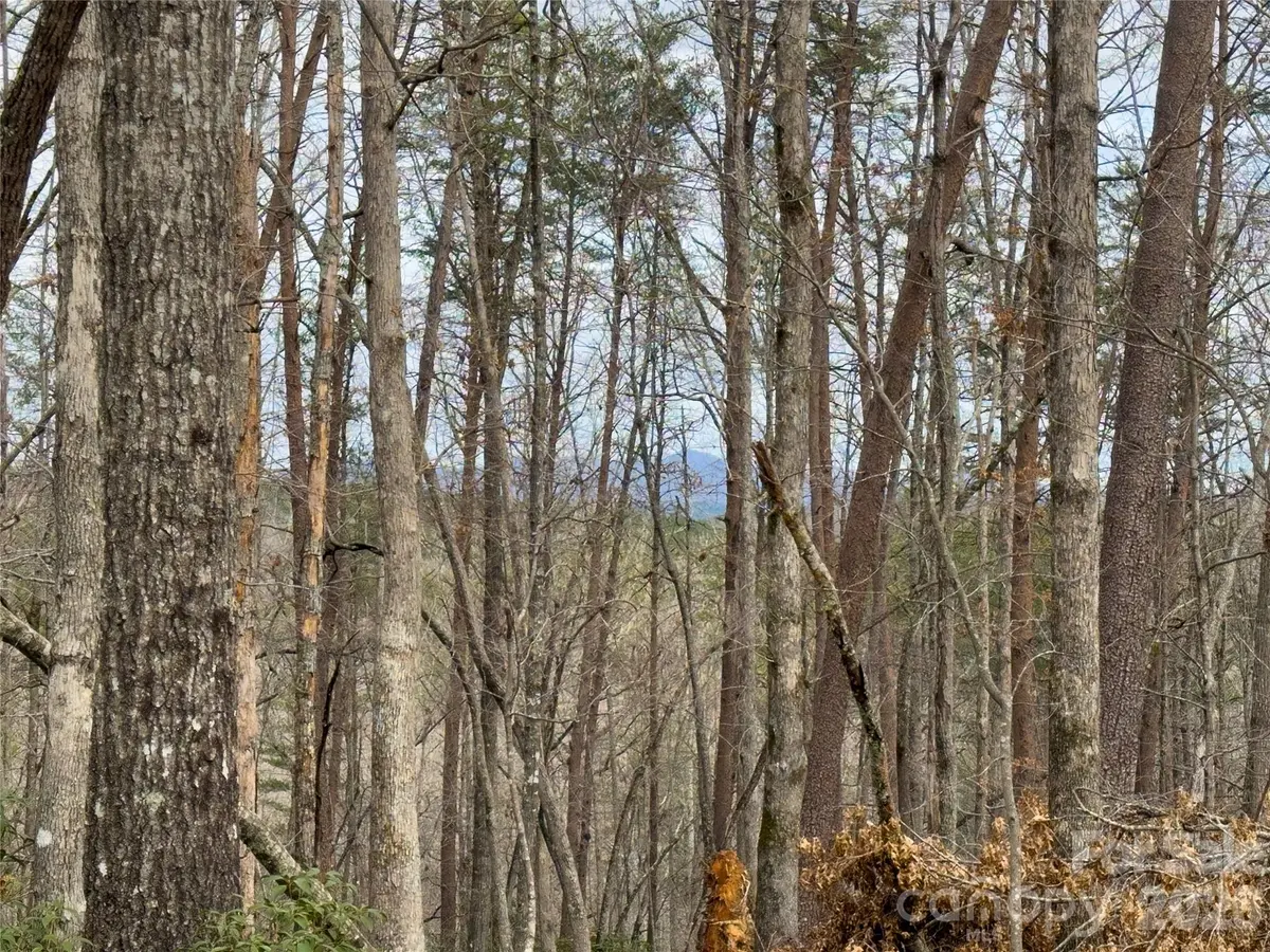 Lots 4-7 Carmel RDG, Rutherfordton, NC 28139