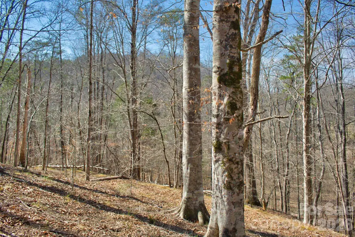 0 Cross Creek DR #143, Rutherfordton, NC 28139
