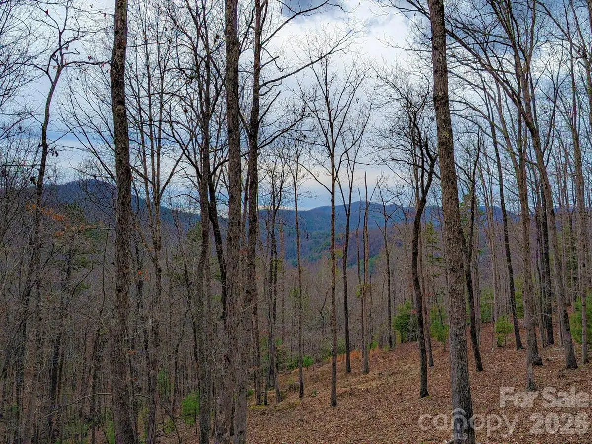 51 Wild Turkey LOOP #32, Marshall, NC 28753