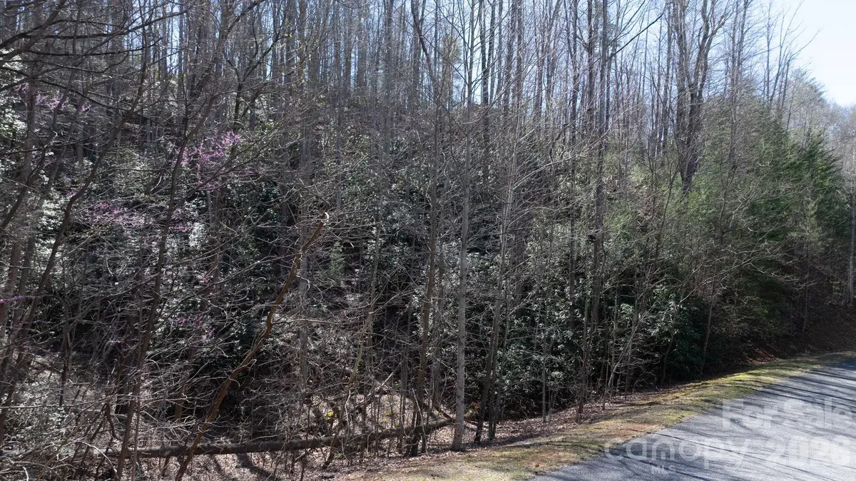1342 High Trail DR #Lot 27-11, Nebo, NC 28761