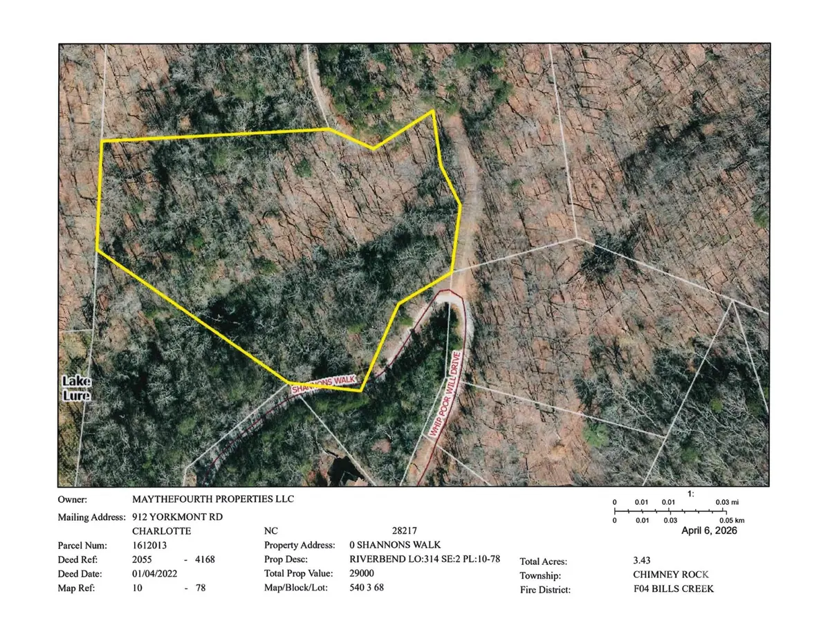 101 Shannons WALK #314, Lake Lure, NC 28746