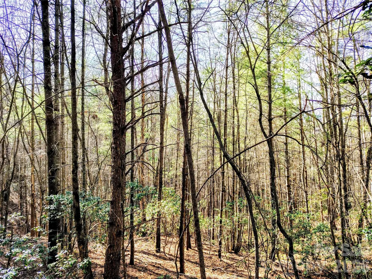 10 Acres Tahoe TRL, Collettsville, NC 28611