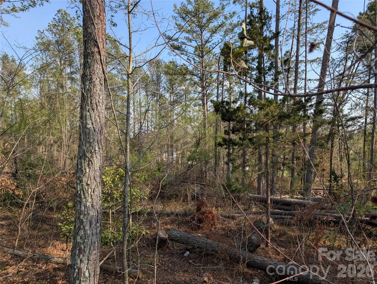 TBD Whitesides RD, Forest City, NC 28043