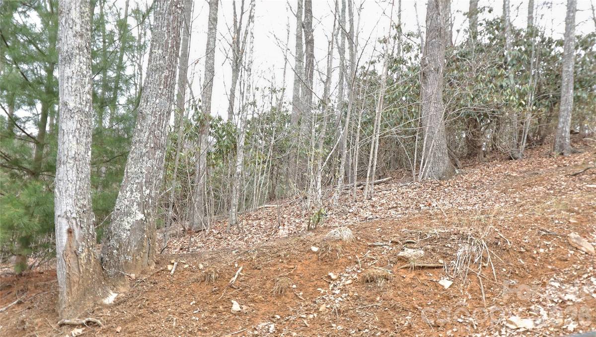 TBD Vineyards Retreat RD #14, Newland, NC 28657