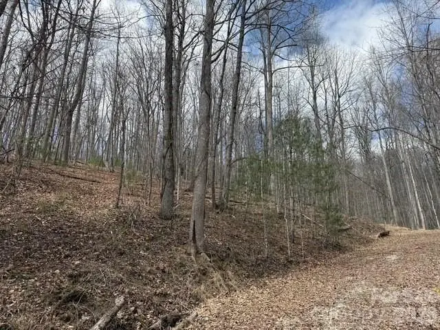 158 Chattooga RUN #402, Hendersonville, NC 28739