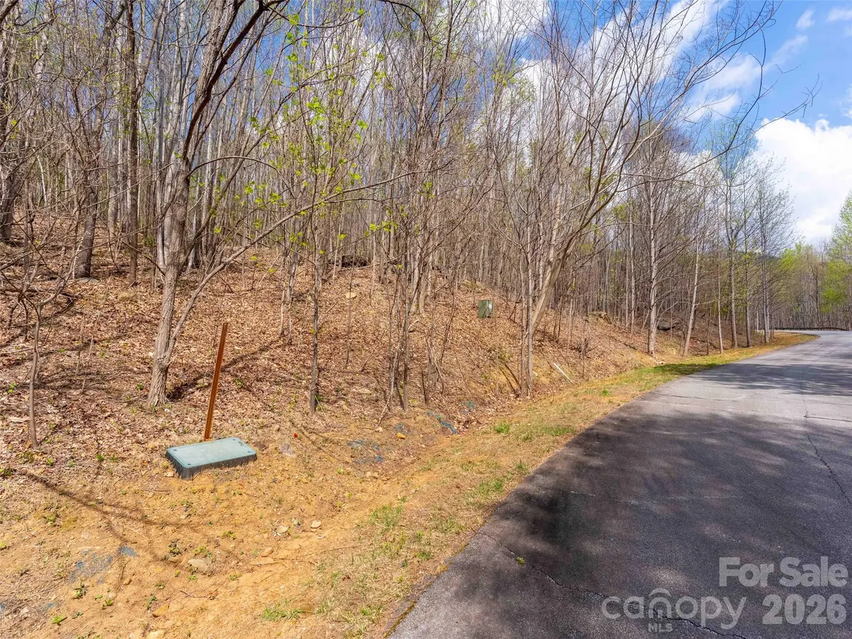 Lot 196 Cherry HL #196, Mill Spring, NC 28756