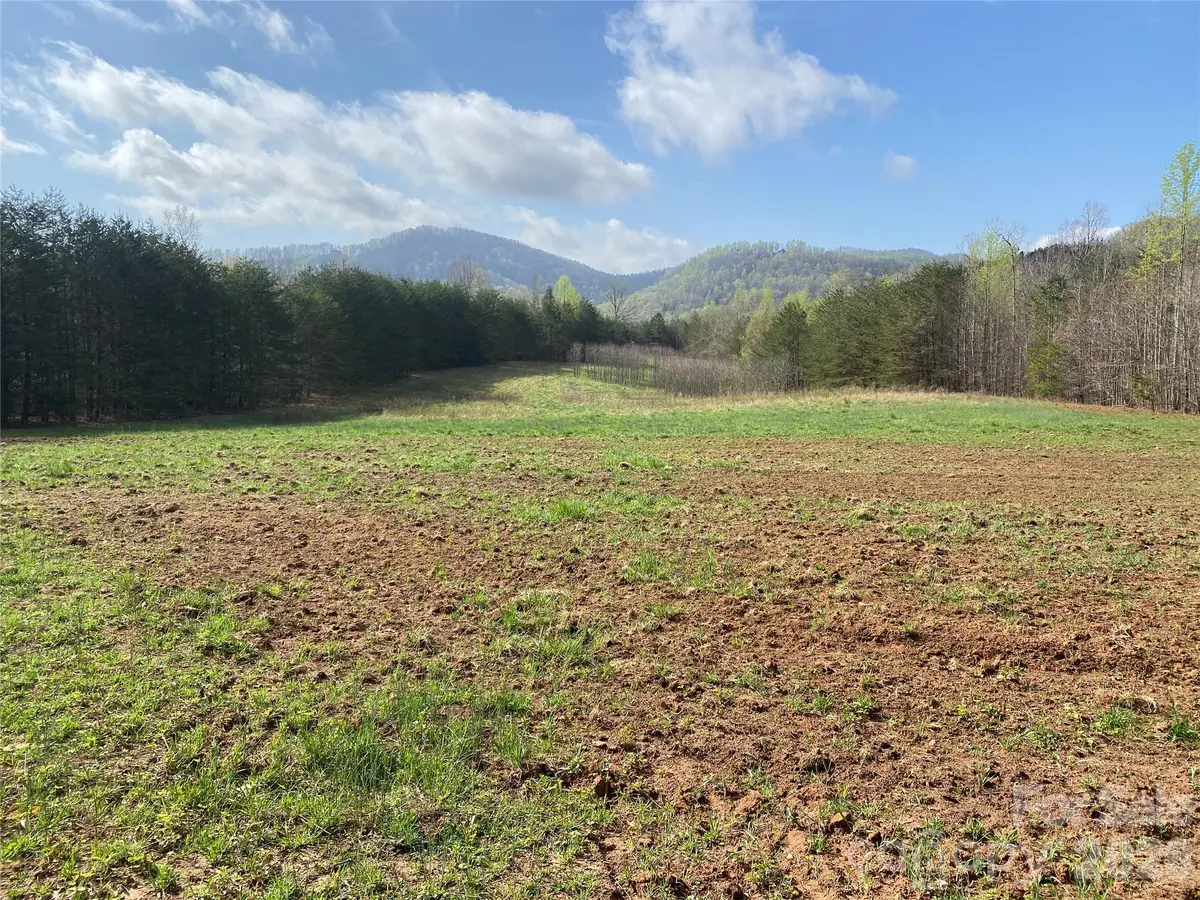 00 Cane Creek Mountain RD #1, Bostic, NC 28018
