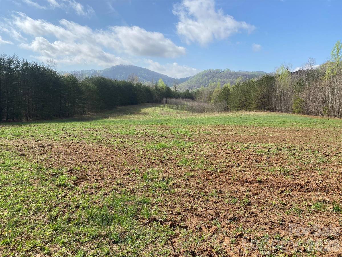 00 Cane Creek Mountain RD #1, Bostic, NC 28018