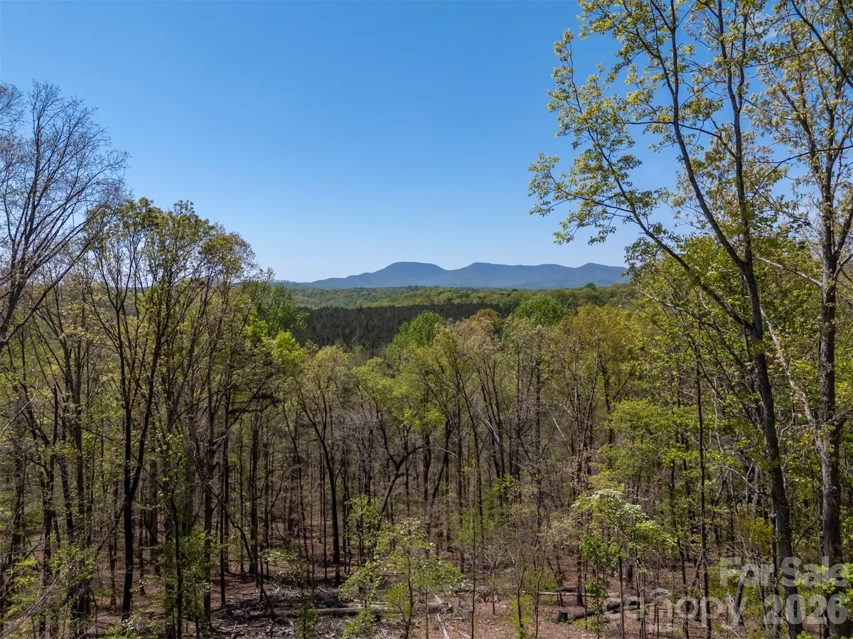 2825 River RD, Columbus, NC 28722
