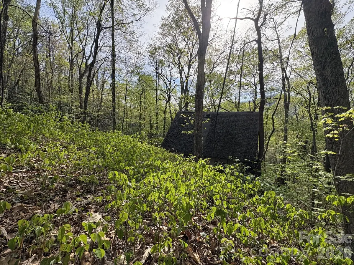 999999 Harwood RD, Barnardsville, NC 28709