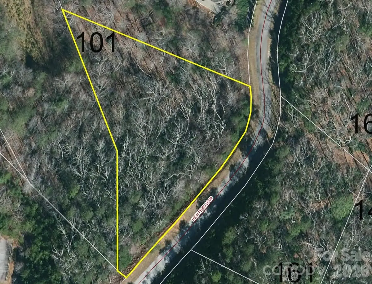 0 High Pines LOOP #101, Lake Lure, NC 28746