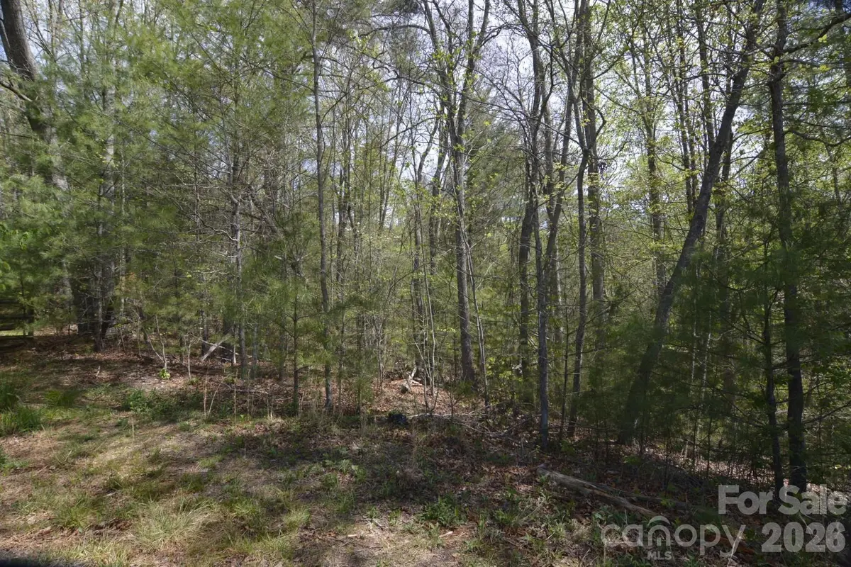 00 Garnet DR, Leicester, NC 28748