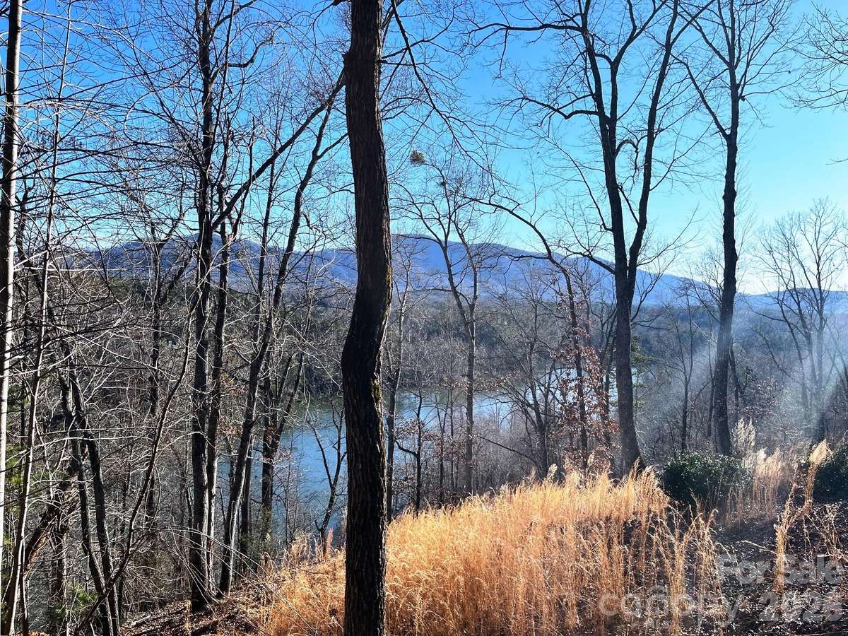 Lot 30 Mountain Pkwy, Mill Spring, NC 28756