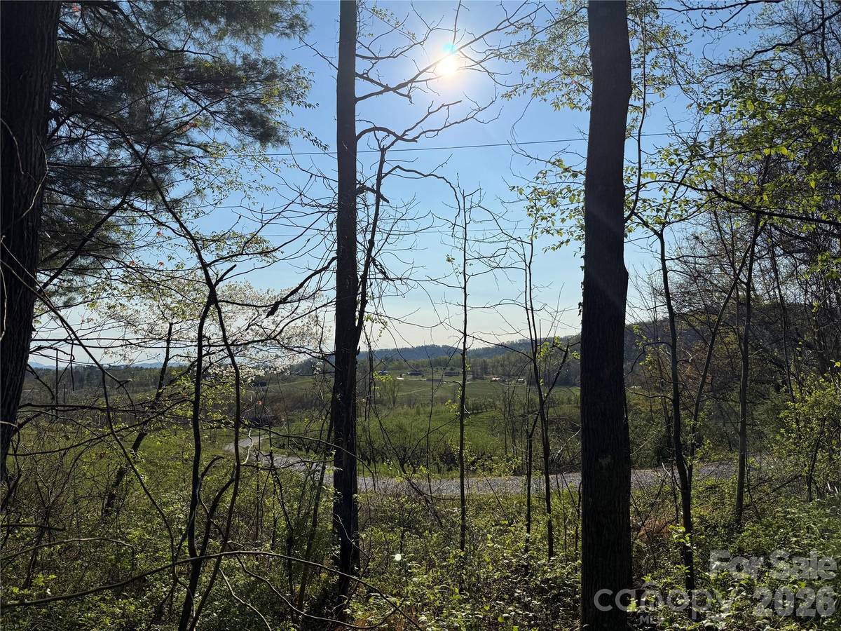 000 Woodlyn Etch DR, Hendersonville, NC 28792