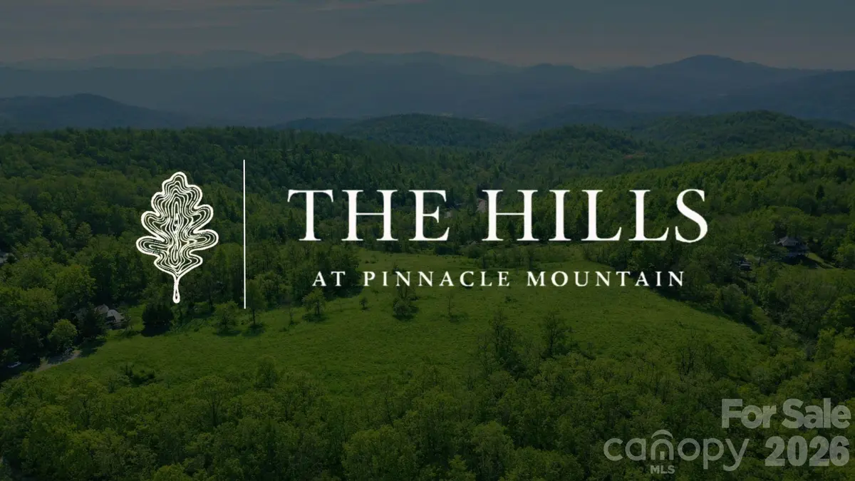4105 Pinnacle Mountain RD, Zirconia, NC 28790