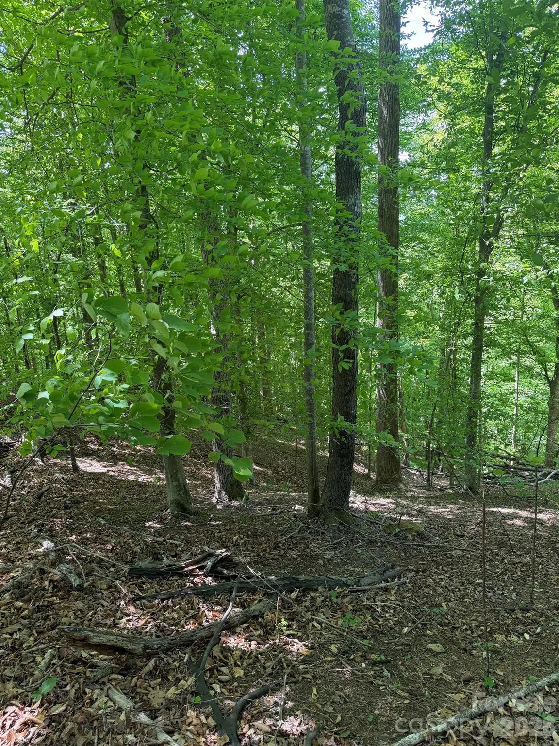 0 Creekside CIR #135, Rutherfordton, NC 28139