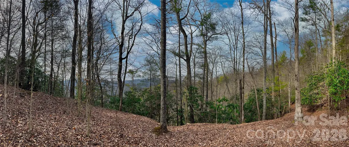 Lot 127 Bear River Lodge TRL, Marshall, NC 28753