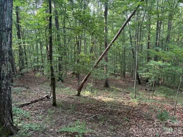00 Cardinal CIR, Tryon, NC 28782